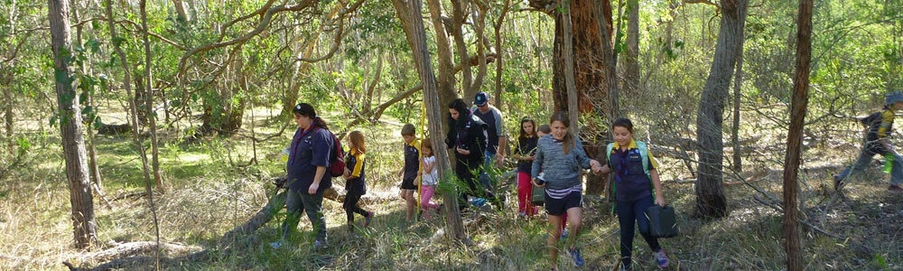 Cub Scouts